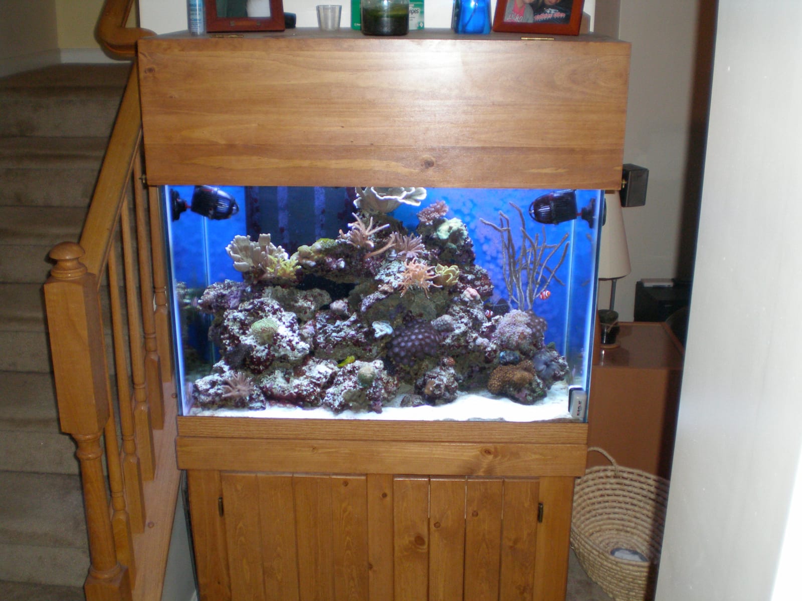 One of my two earlier reef tanks